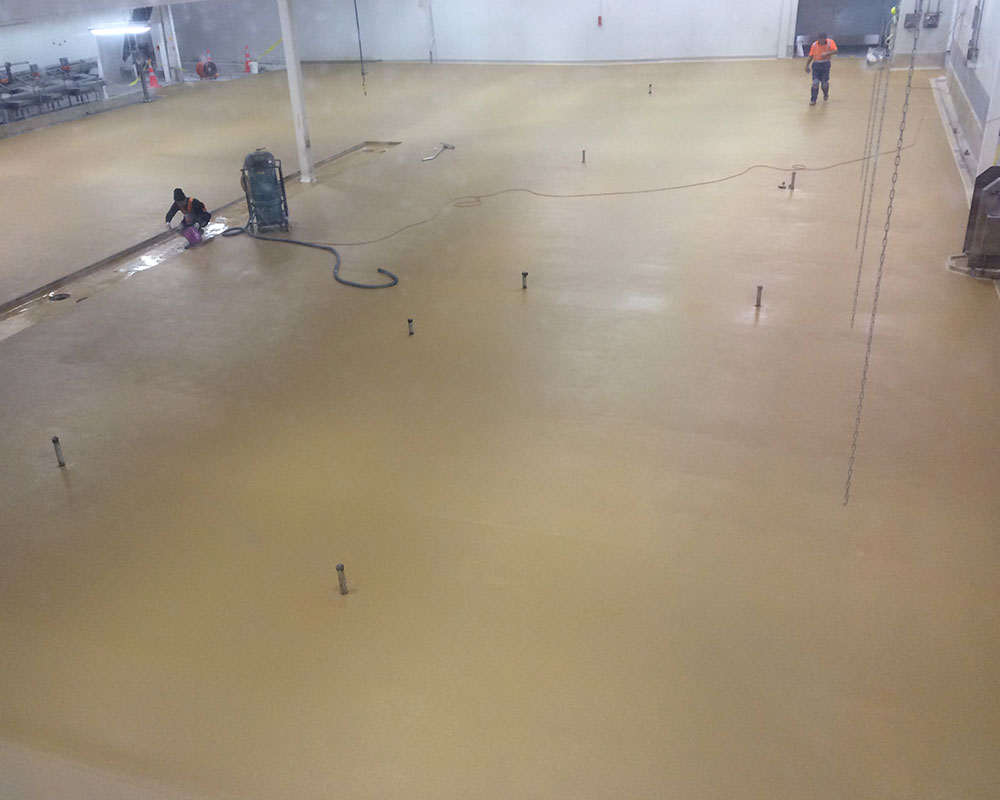 NZSC - Meat Processing Flooring Preparation